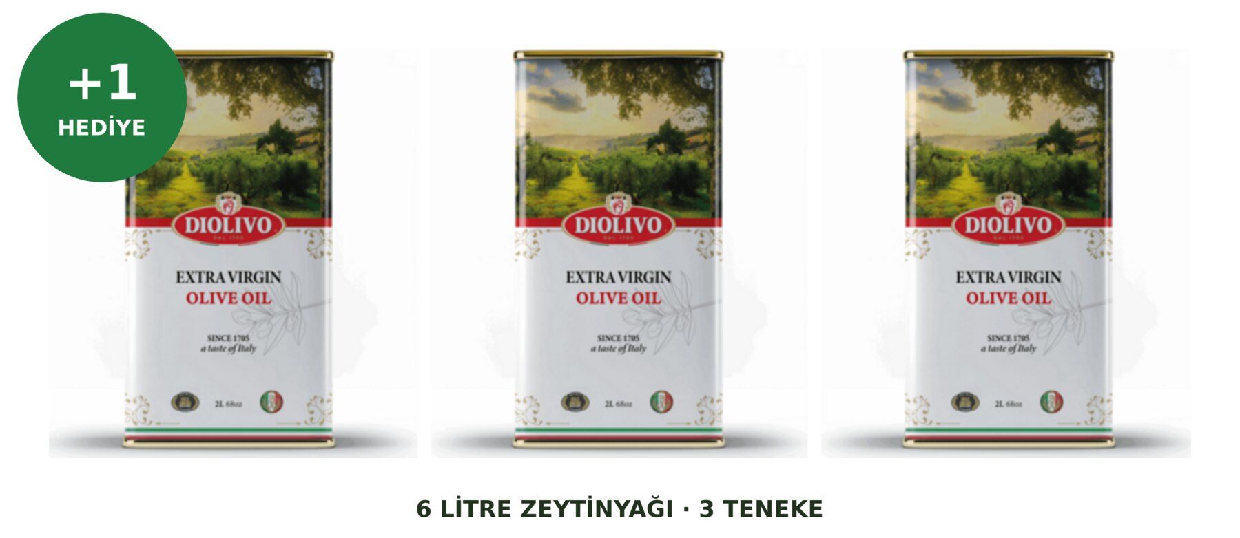 6 litre zeytinyağı
